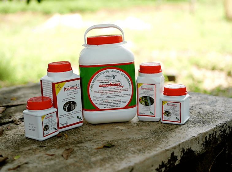 Ready to use Bordeaux Paint / Mixture