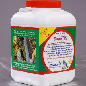 Ready to use Bordeaux Paint / Mixture